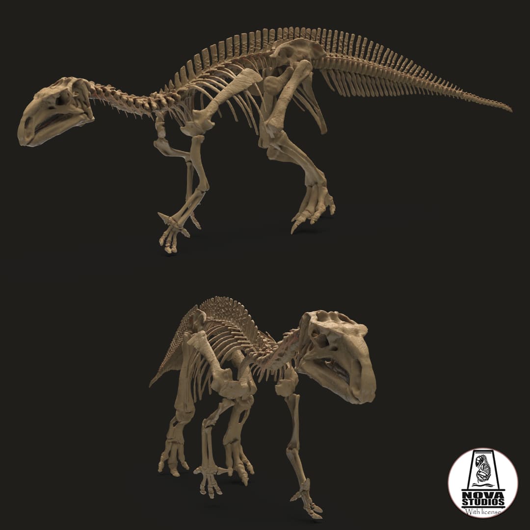 Mantellisaurus atherfieldensis