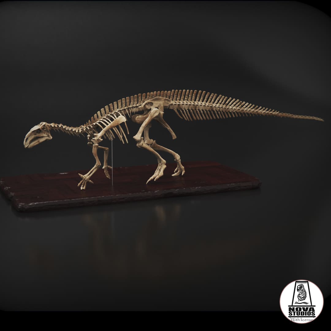 Mantellisaurus atherfieldensis