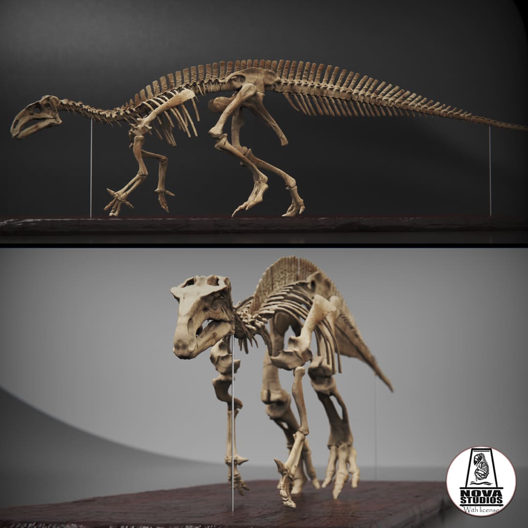 Mantellisaurus atherfieldensis