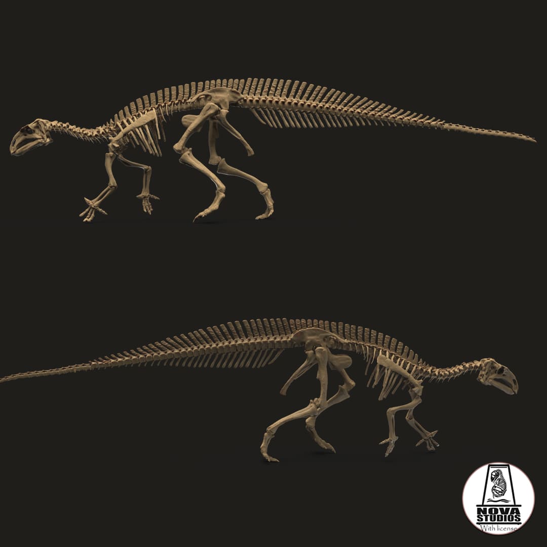 Mantellisaurus atherfieldensis