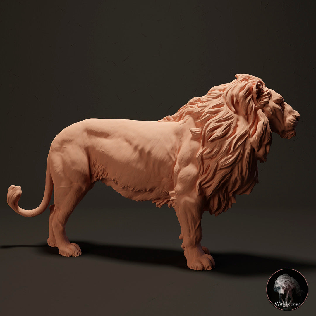 León africano