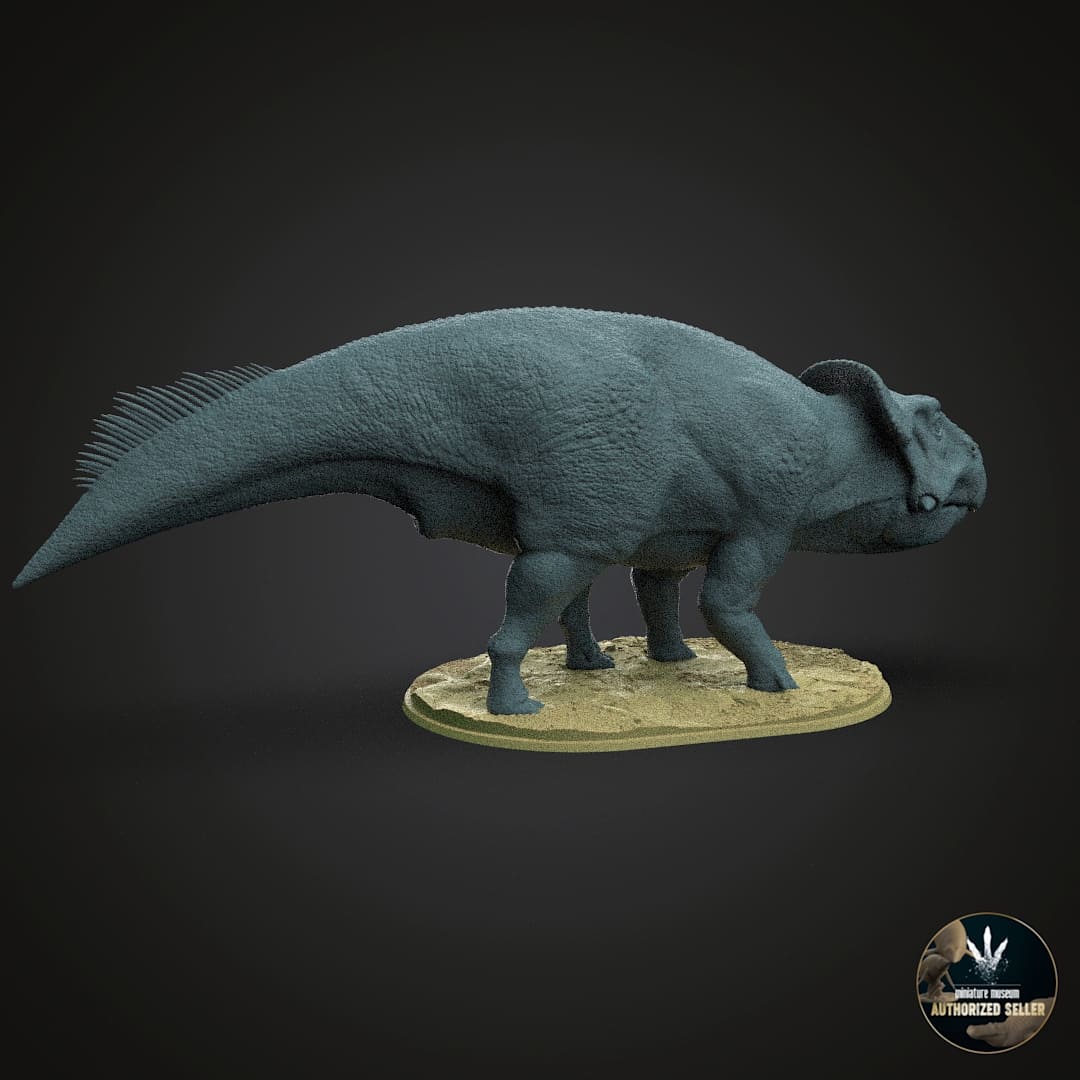 Leptoceratops gracilis