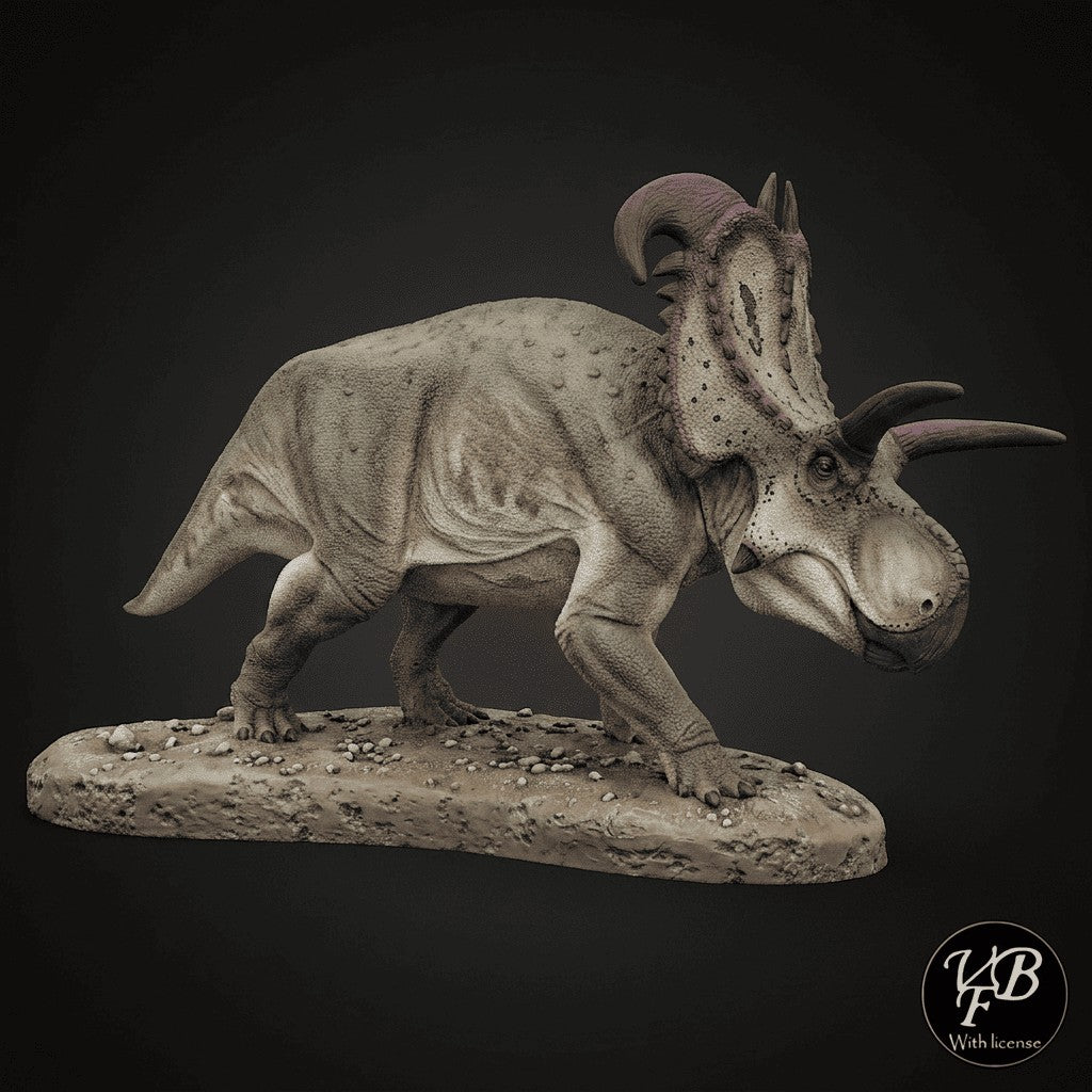 Lokiceratops rangiformis