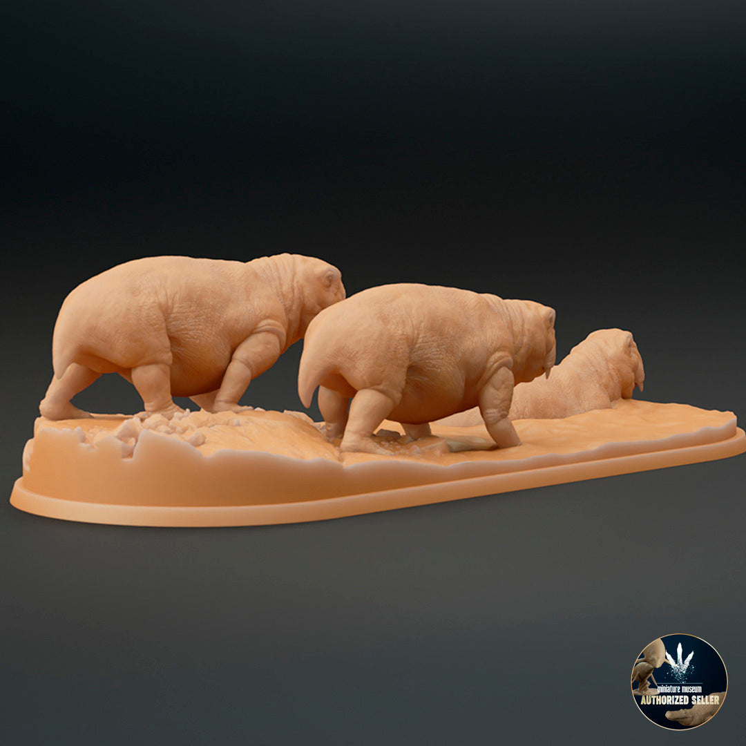 Lystrosaurus murrayi