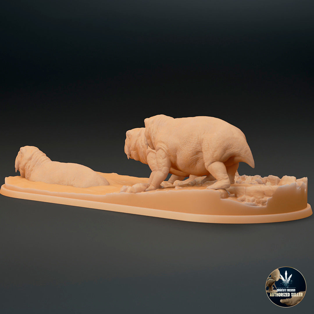 Lystrosaurus murrayi