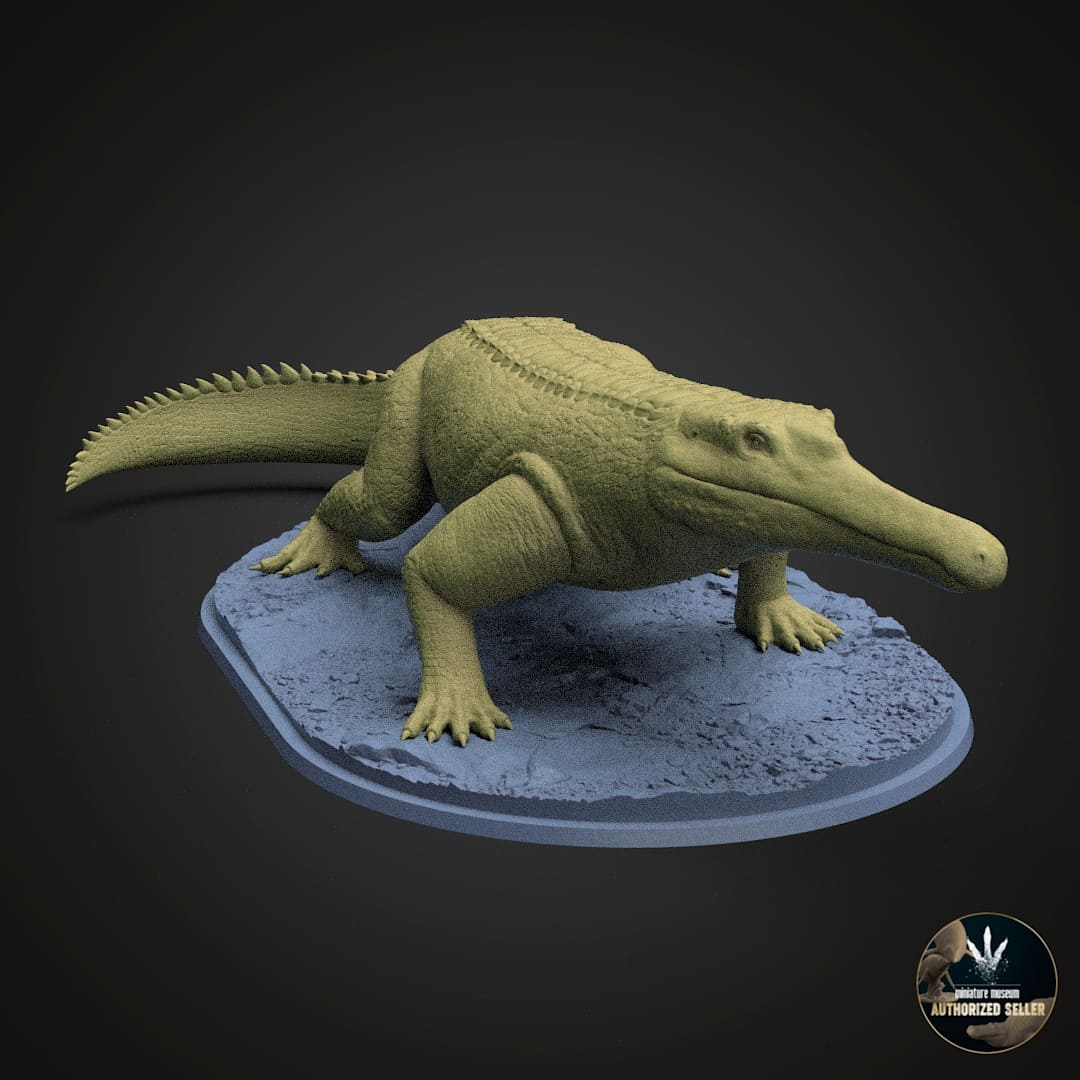 Machaeroprosopus buceros