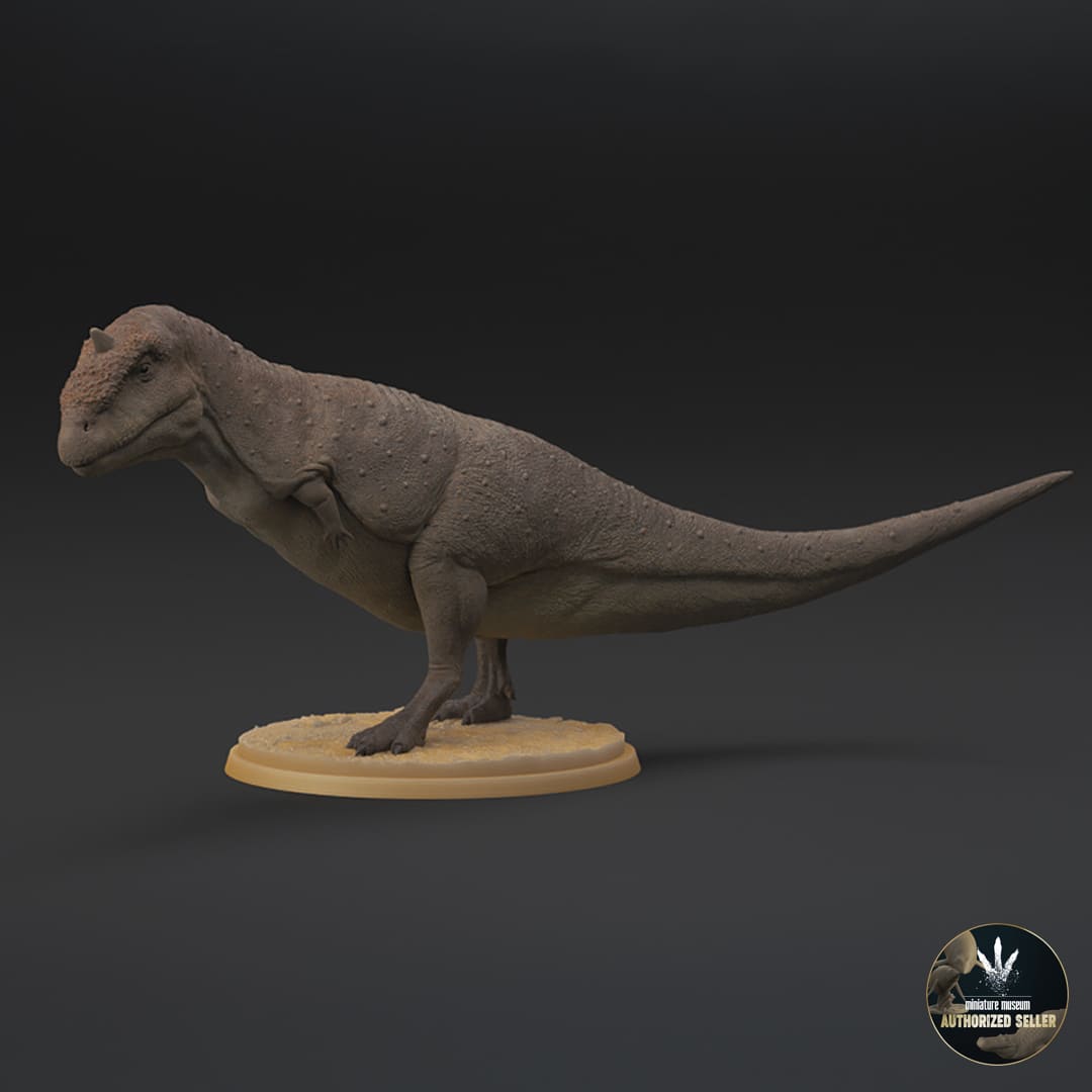 Majungasaurus crenatissimus