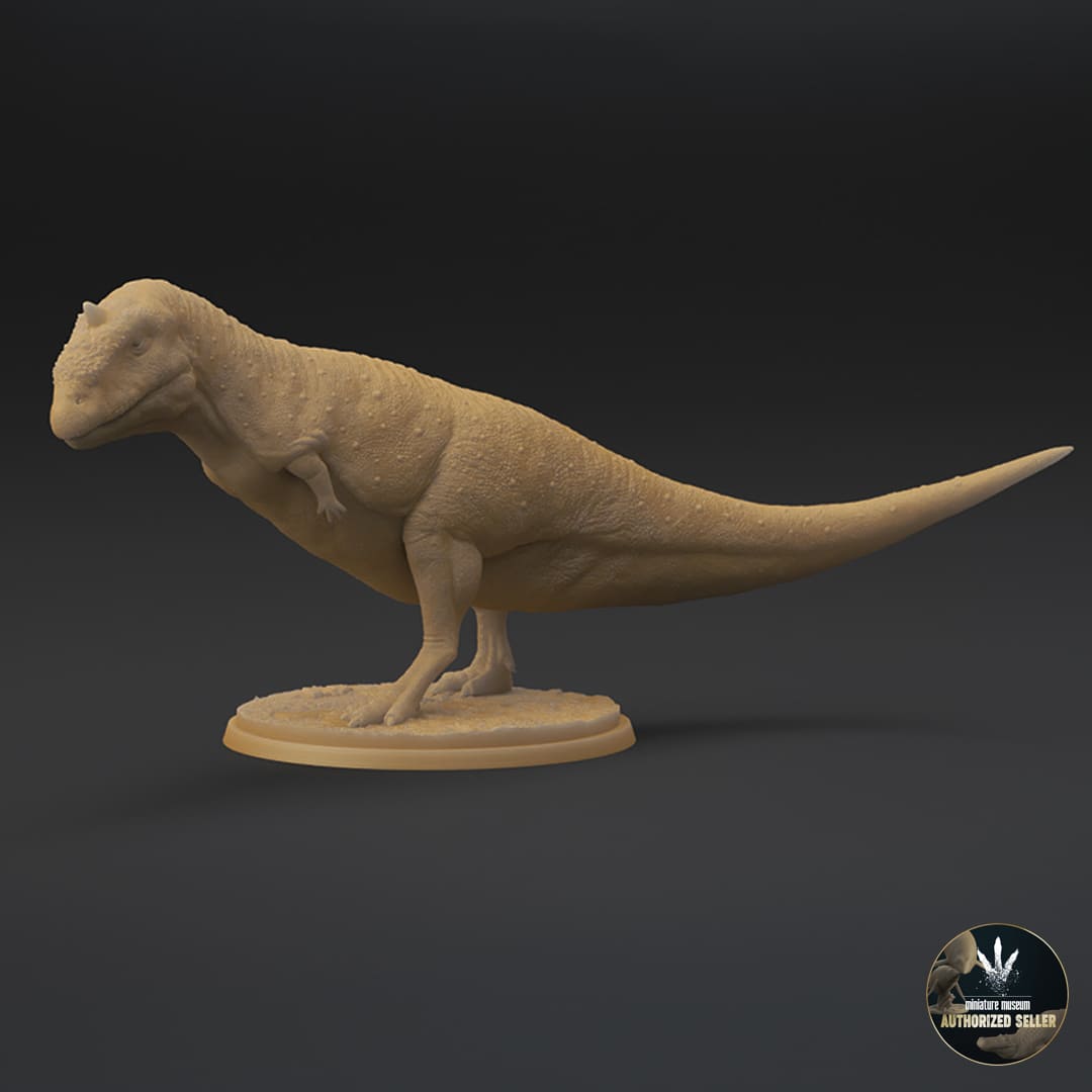 Majungasaurus crenatissimus