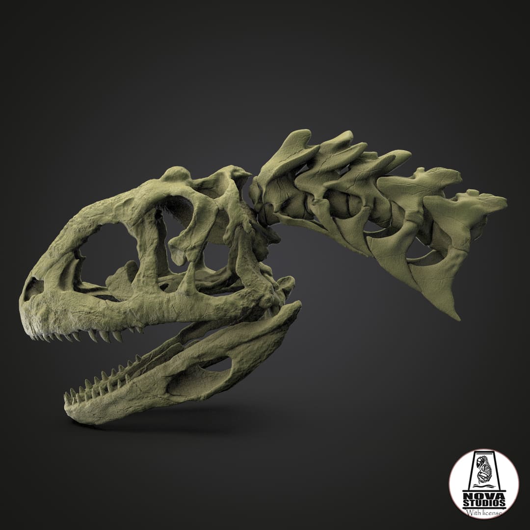 Majungasaurus crenatissimus skull