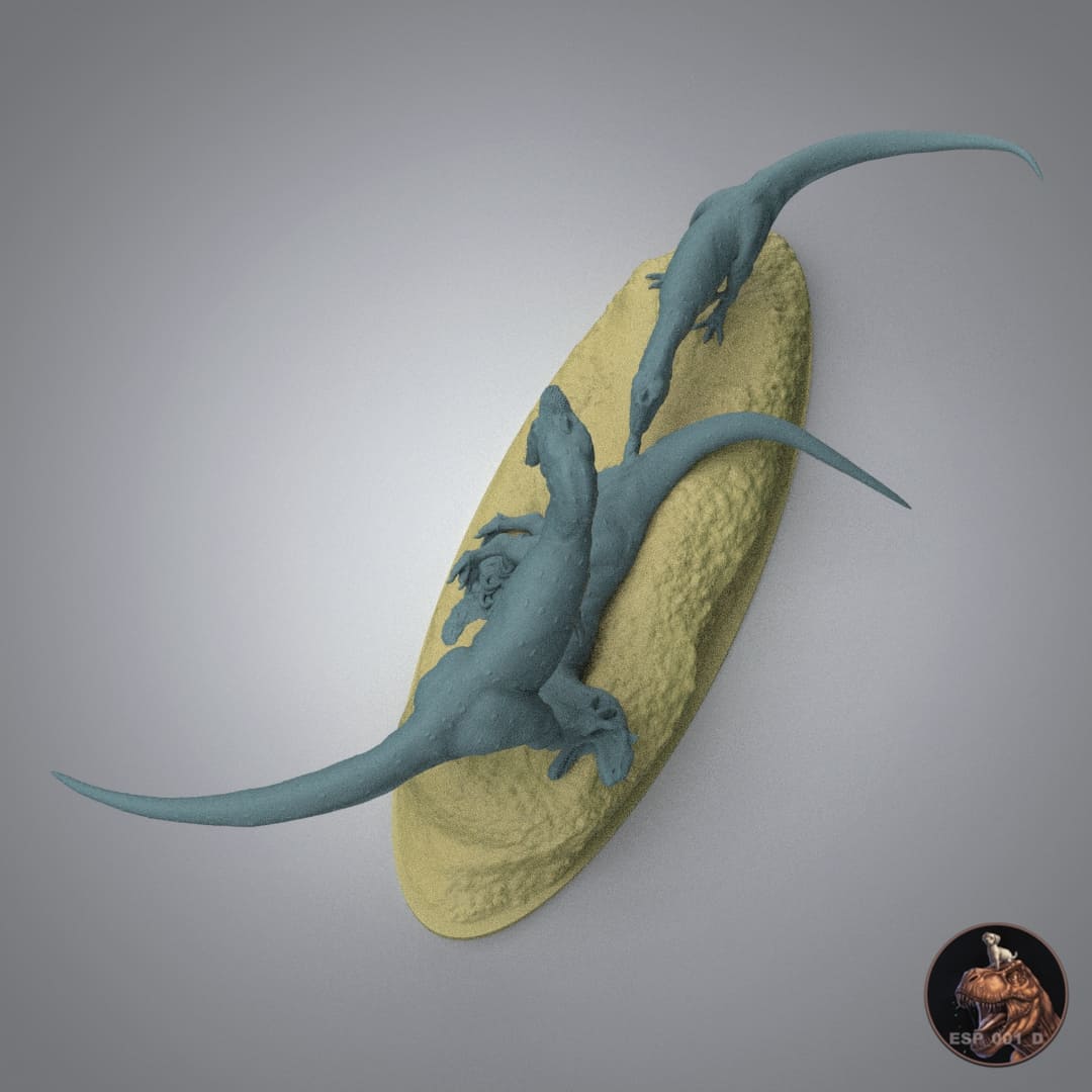 Majungasaurus crenatissimus