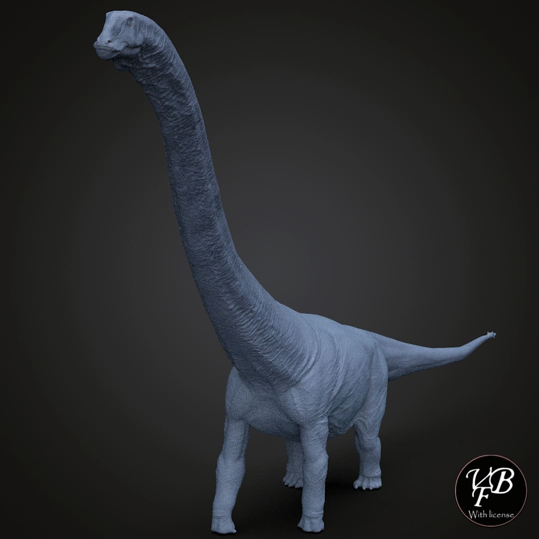 Mamenchisaurus hochuanensis