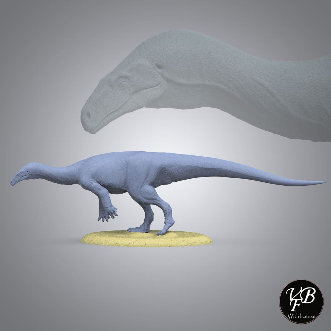 Melanorosaurus readi