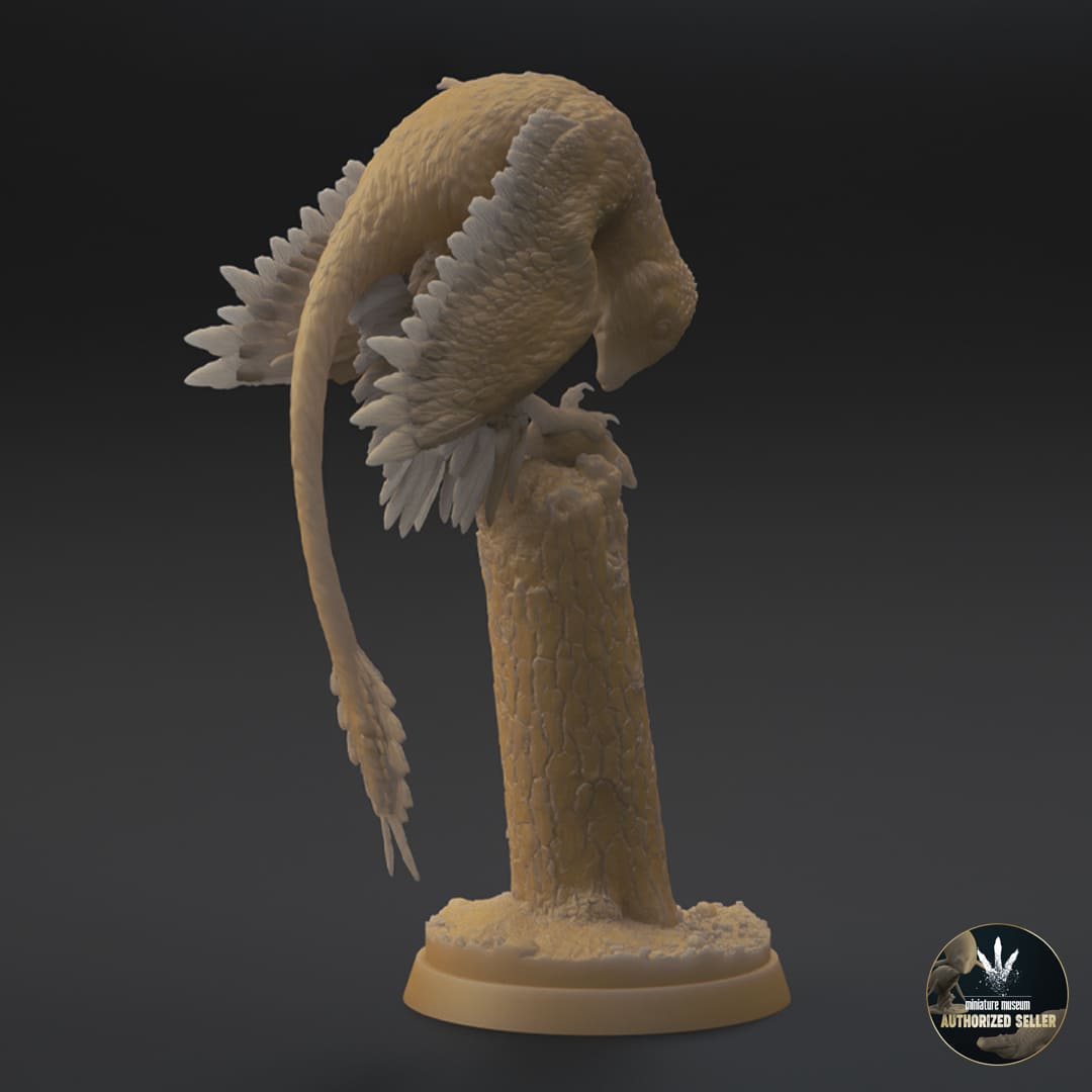 Microraptor-GUI / Eomaia