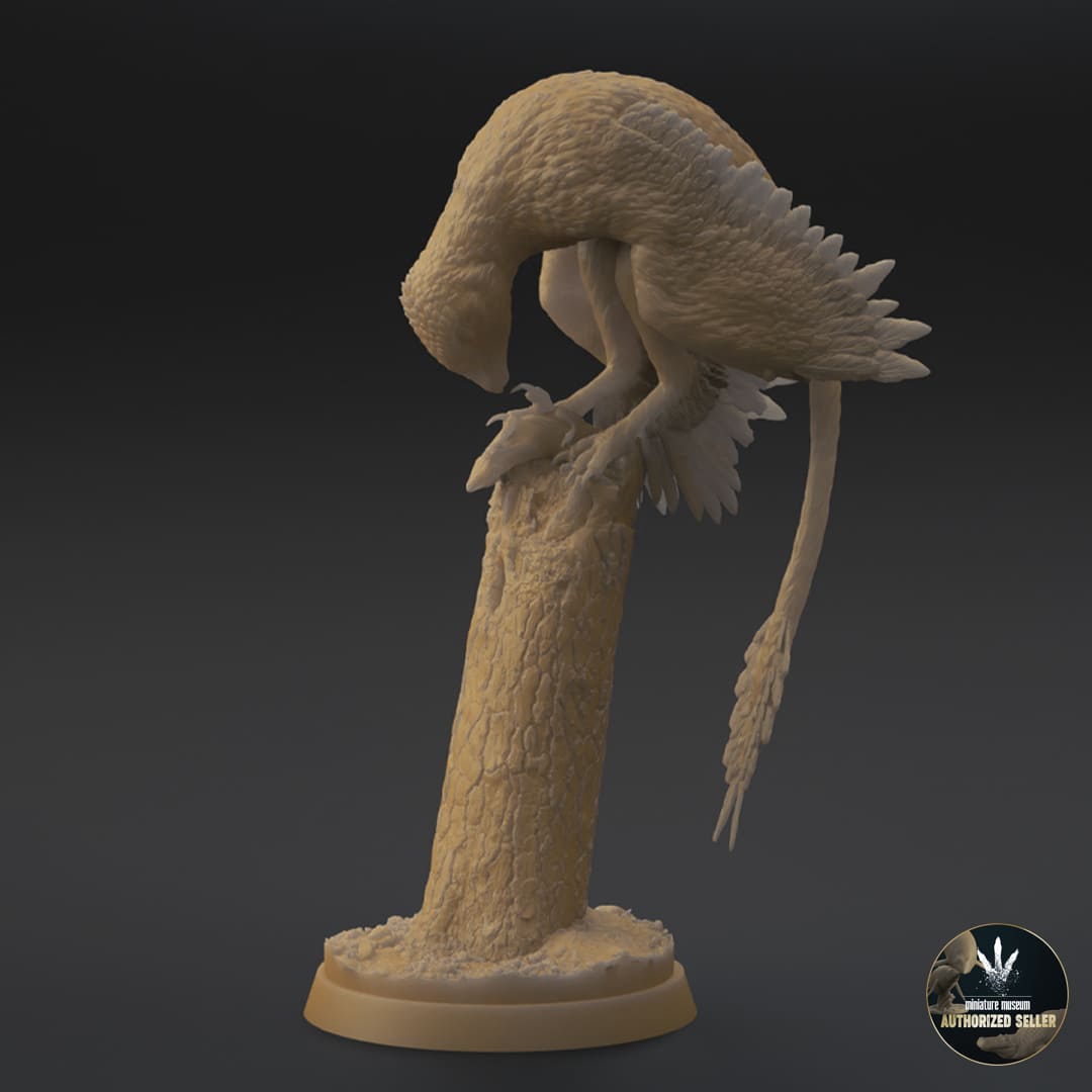 Microraptor-GUI / Eomaia