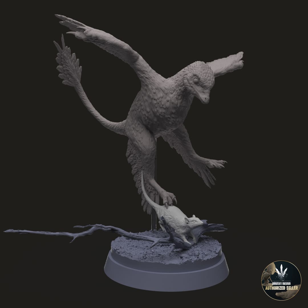 Microraptor-GUI / Eomaia scansoria