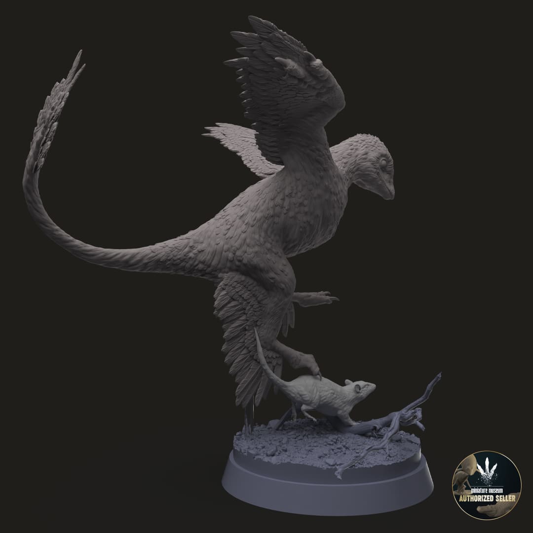 Microraptor-GUI / Eomaia scansoria