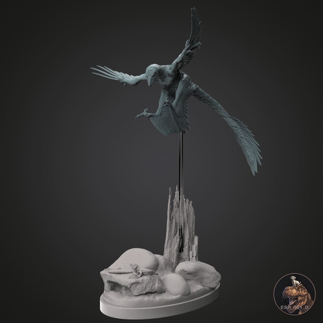 Microraptor gui
