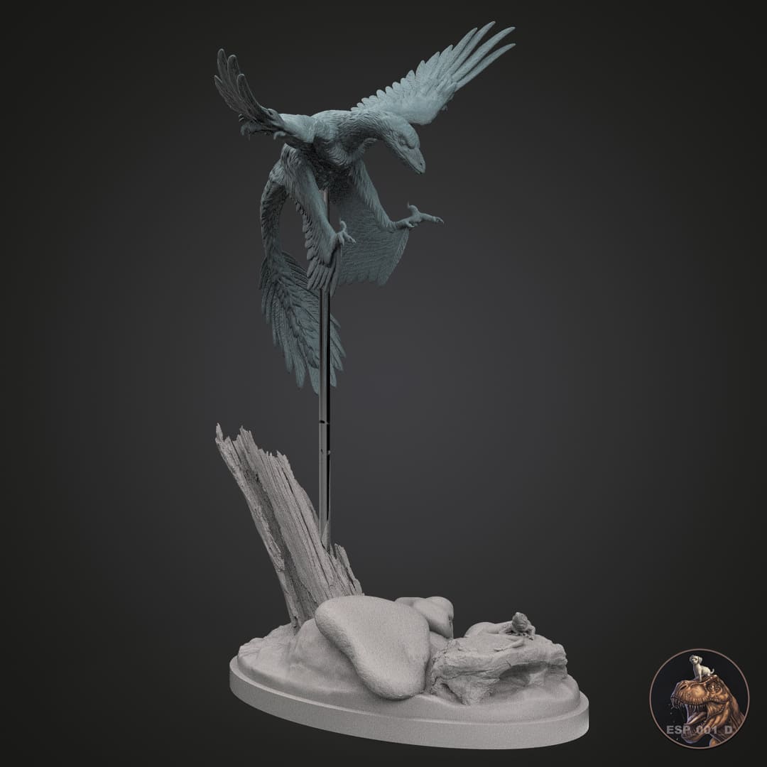 Microraptor gui