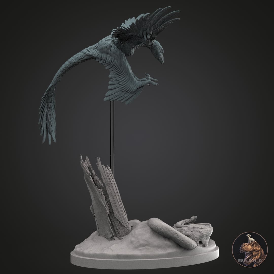 Microraptor gui