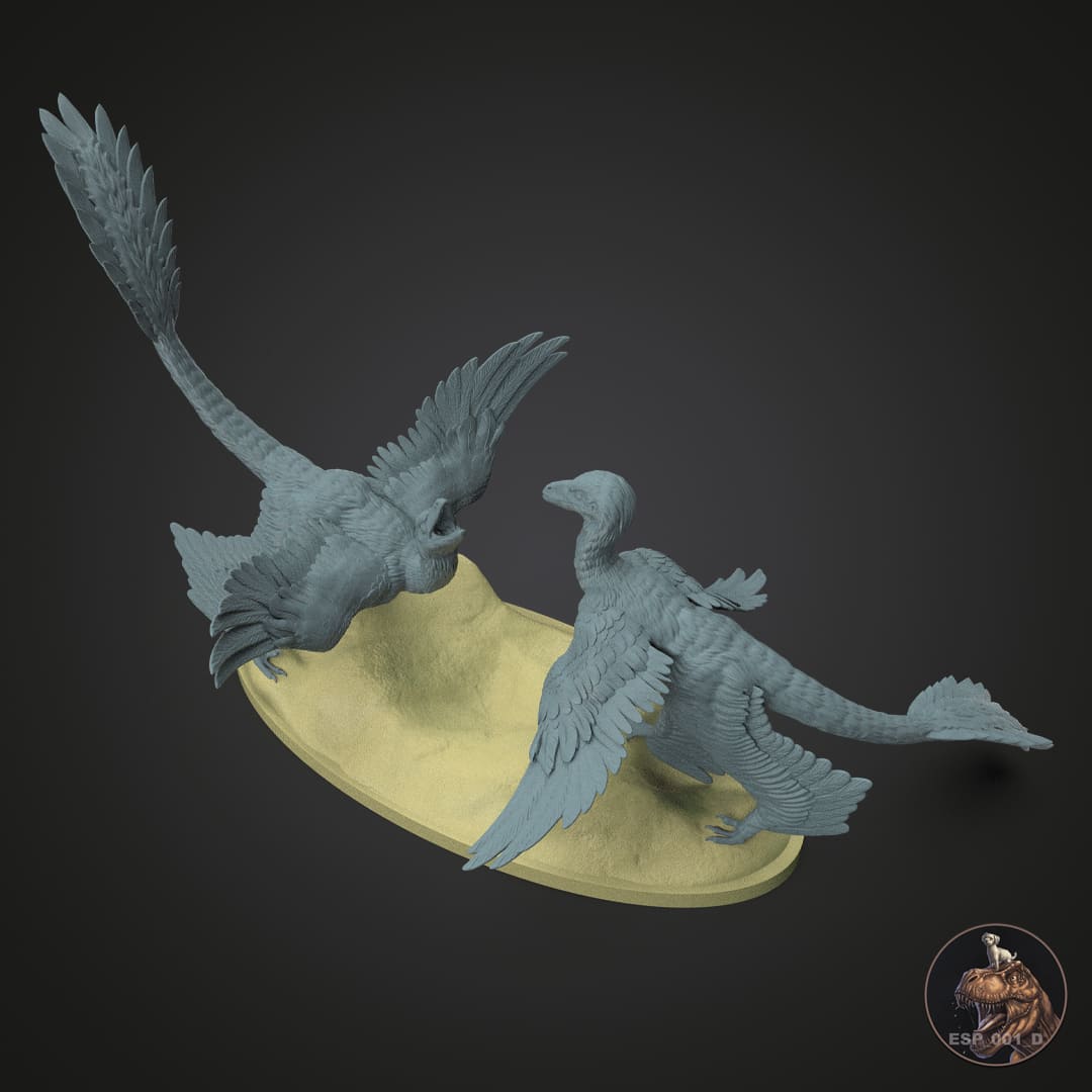 Microraptor gui