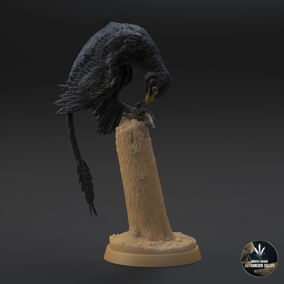 Microraptor-GUI / Eomaia