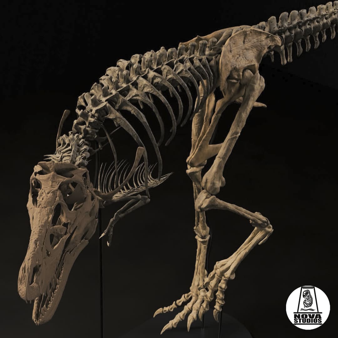 Nanotyrannus