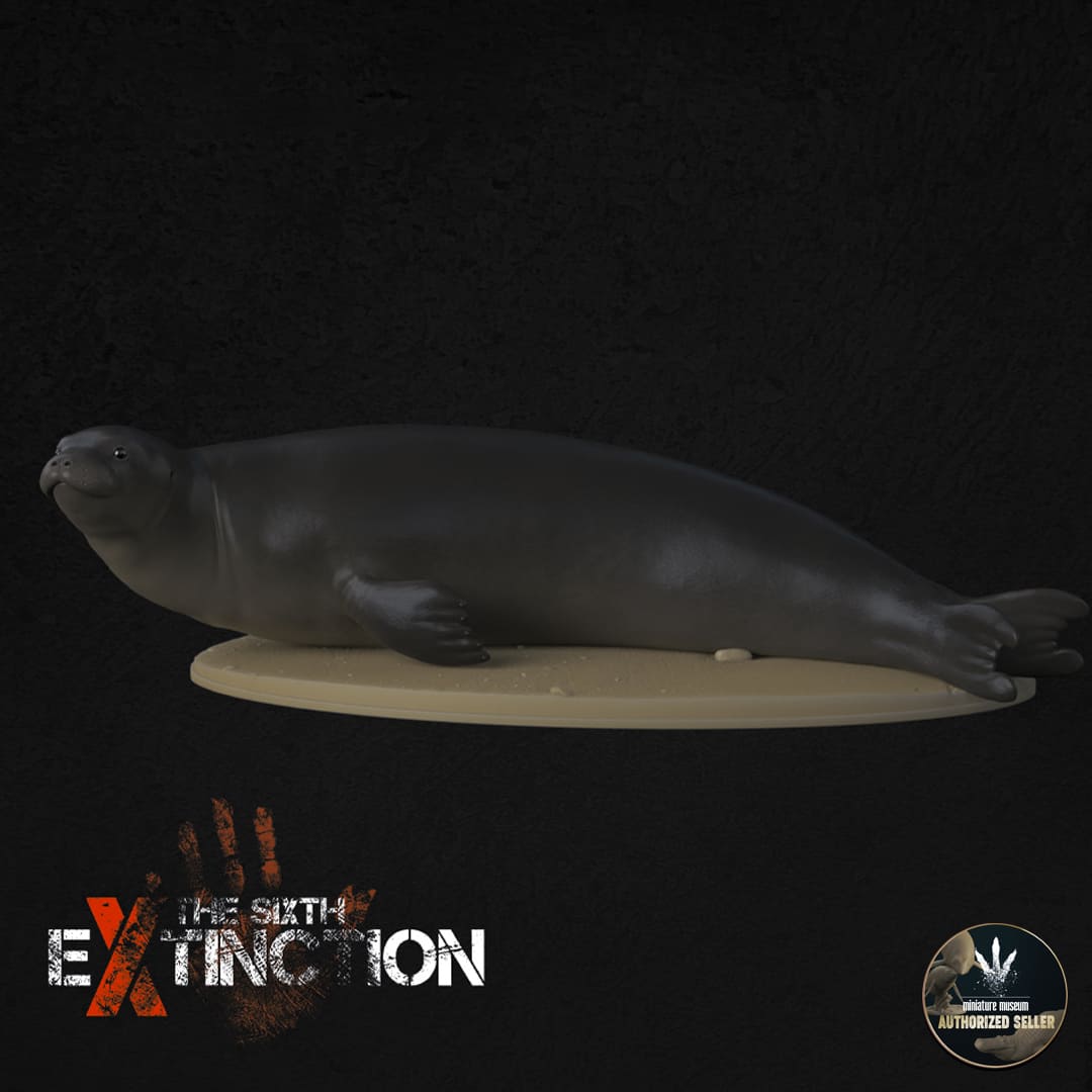 Neomonachus tropicalis Dinosauria Creatures