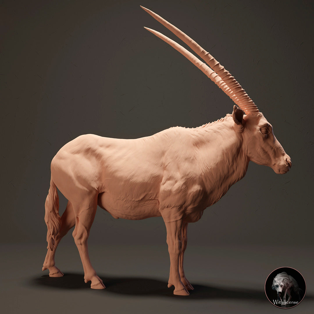 Kap Oryx