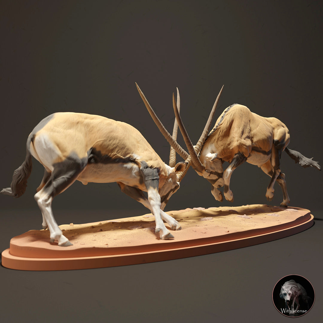 Kap Oryx