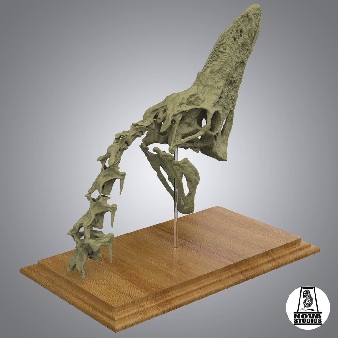 Oviraptor “Spike” skull and neck