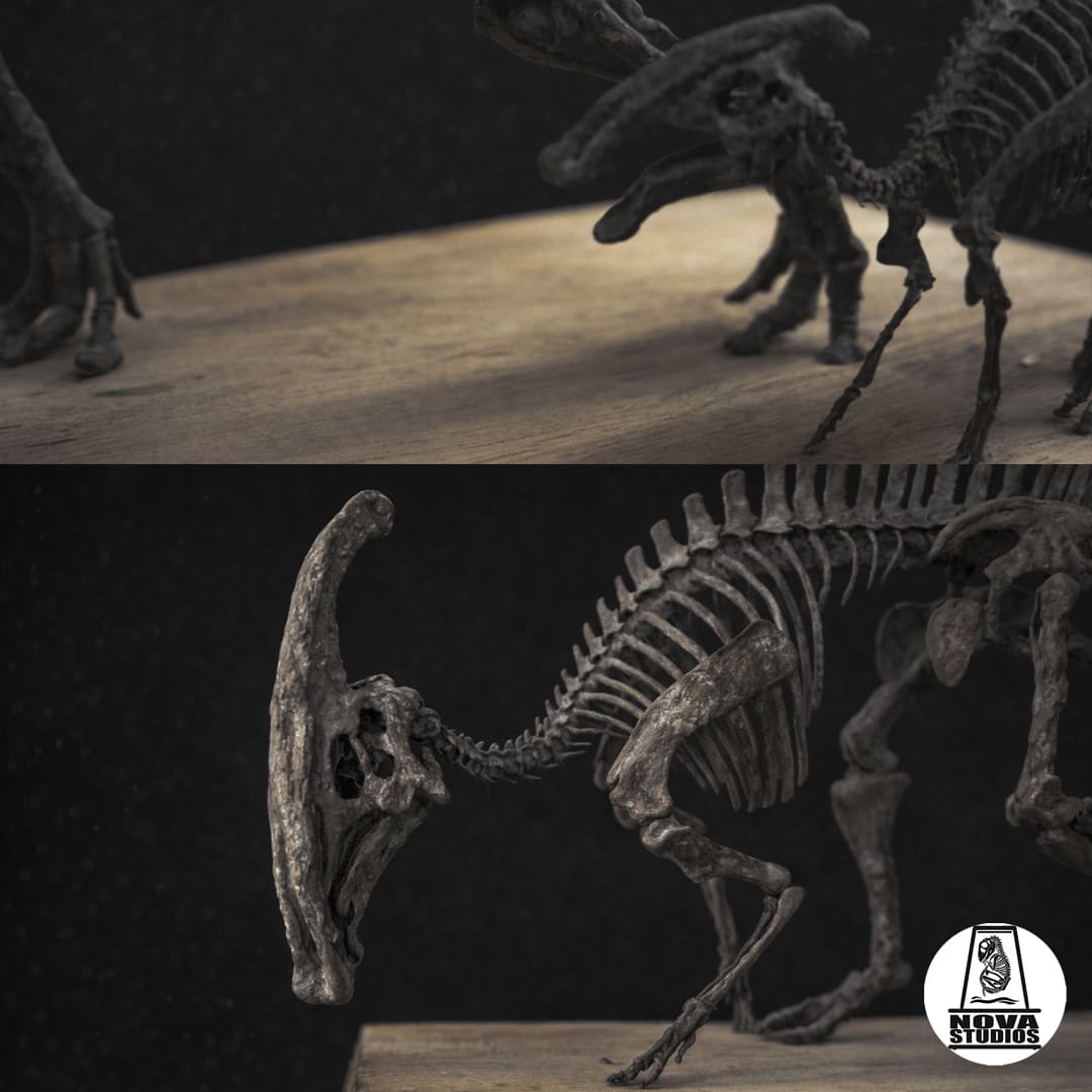 Parasaurolophus walkeri Skelett
