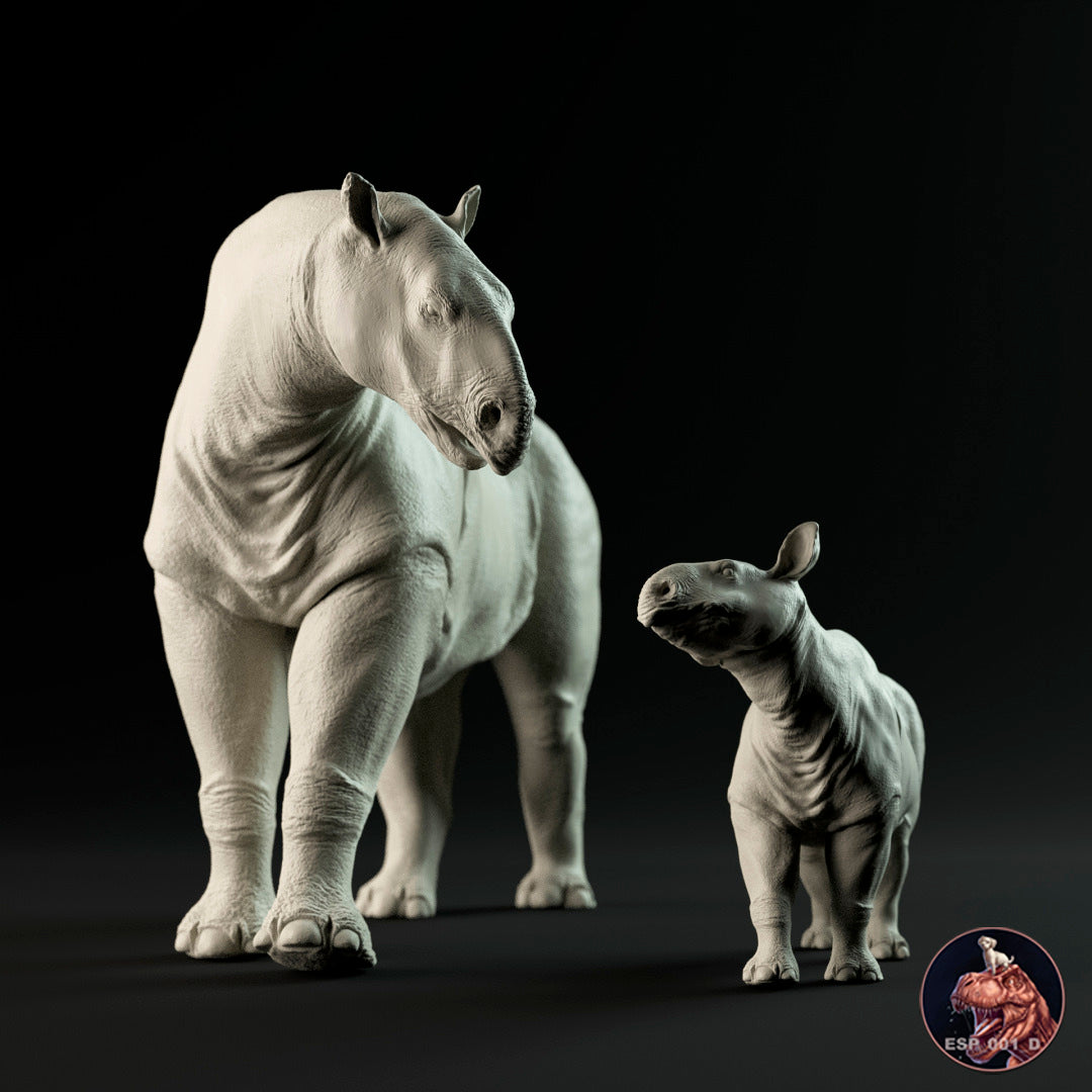 Paraceratherium, Madre y Cría