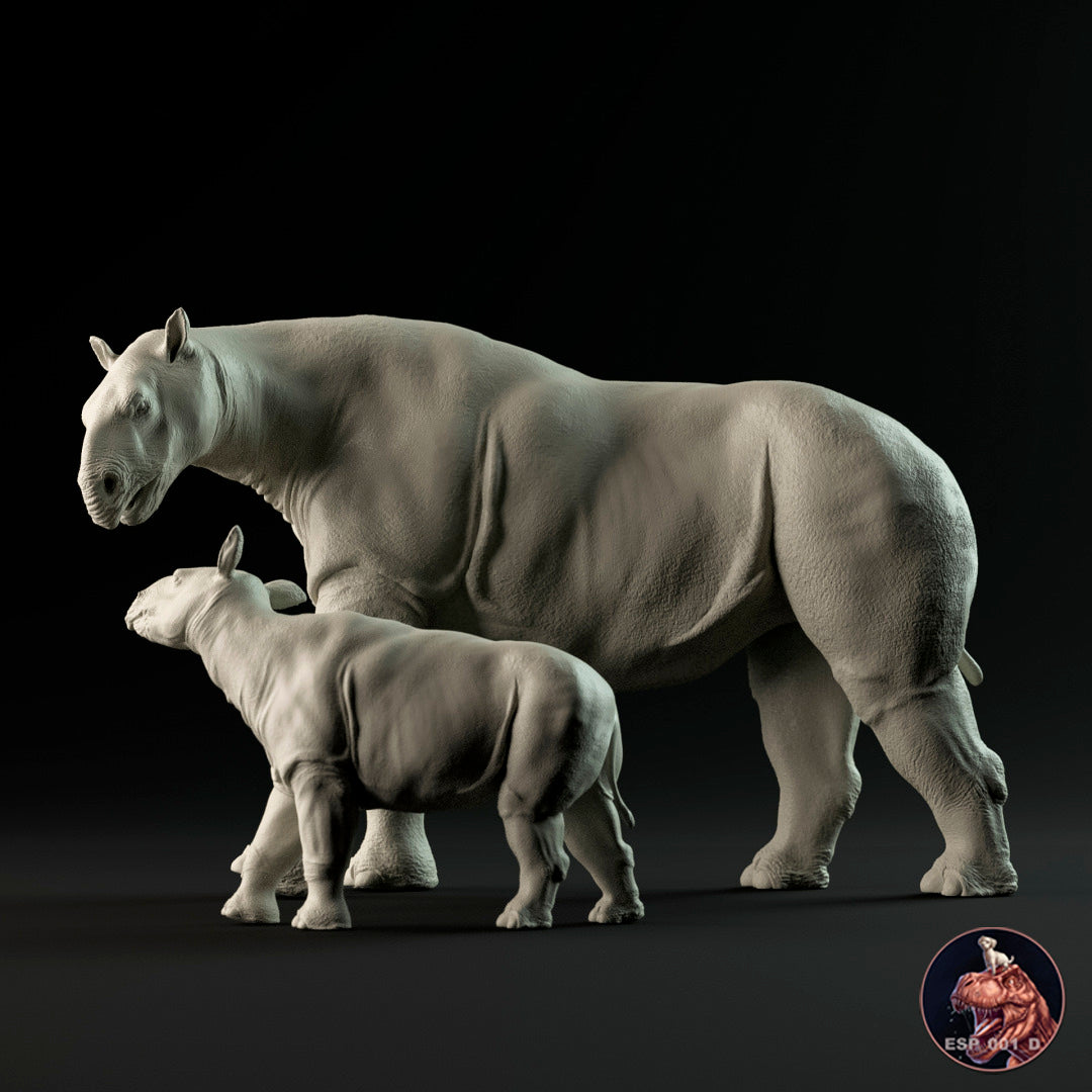Paraceratherium, Madre y Cría