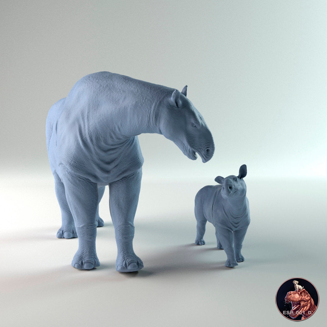 Paraceratherium, Madre y Cría