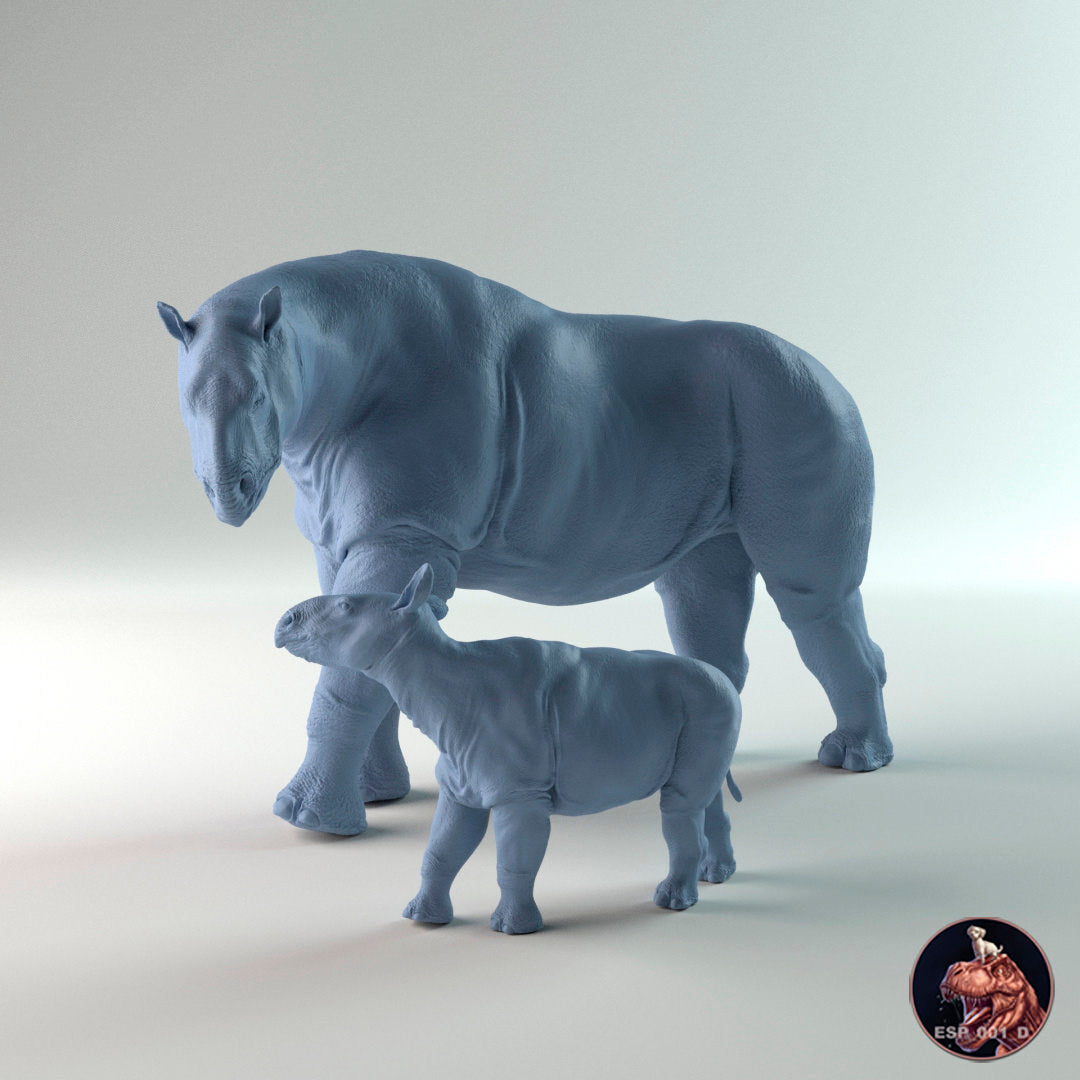 Paraceratherium, Madre y Cría