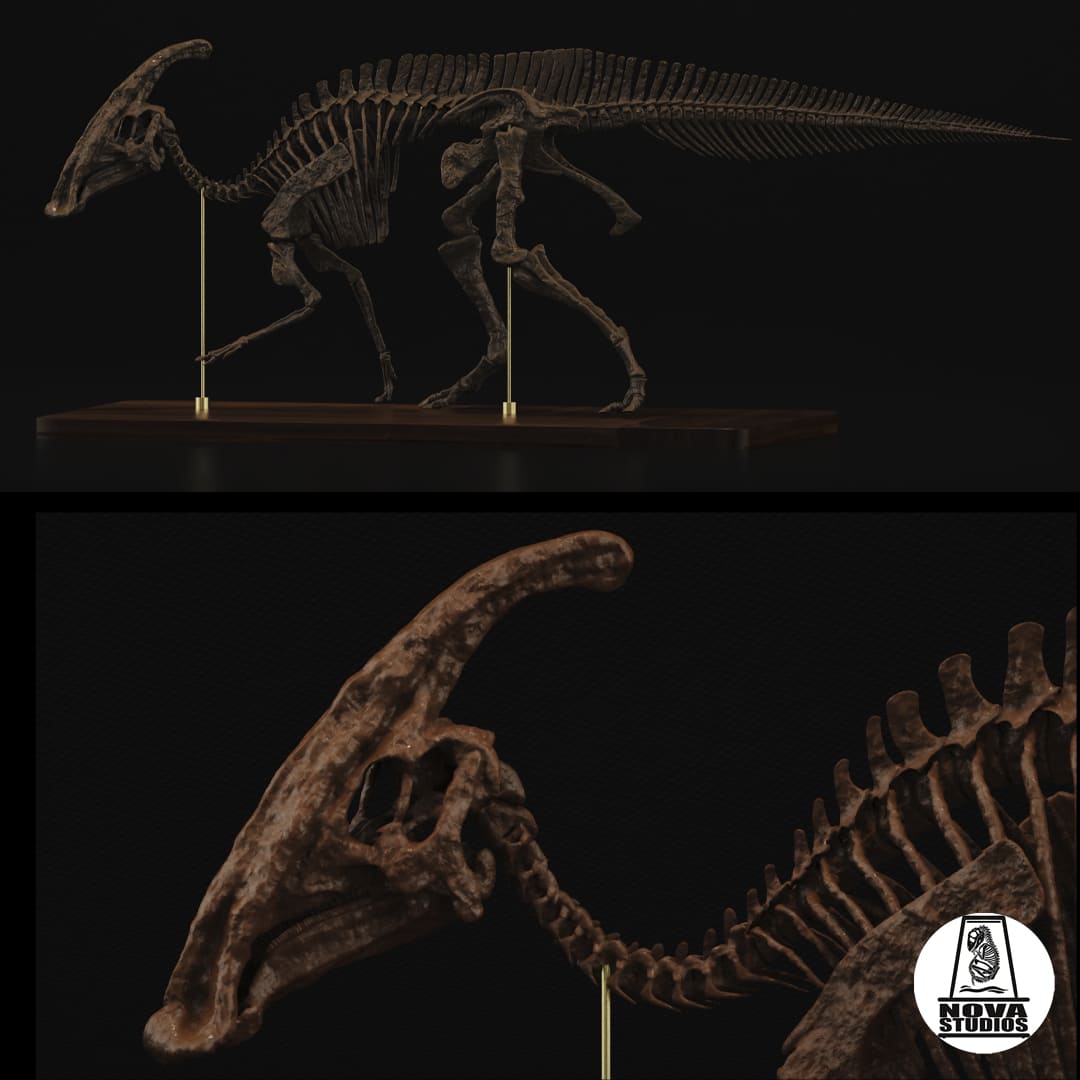 Parasaurolophus walkeri Skelett