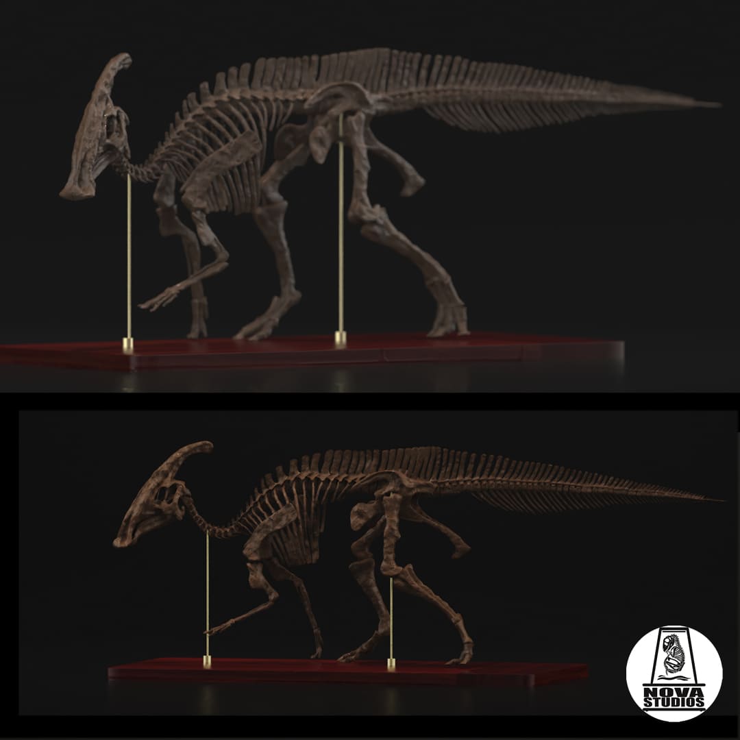 Parasaurolophus walkeri Skelett