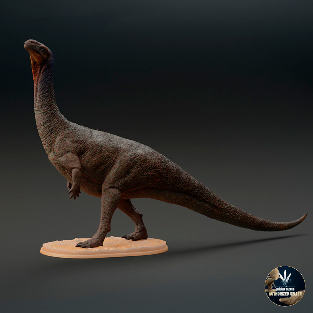 Plateosaurus trossingensis