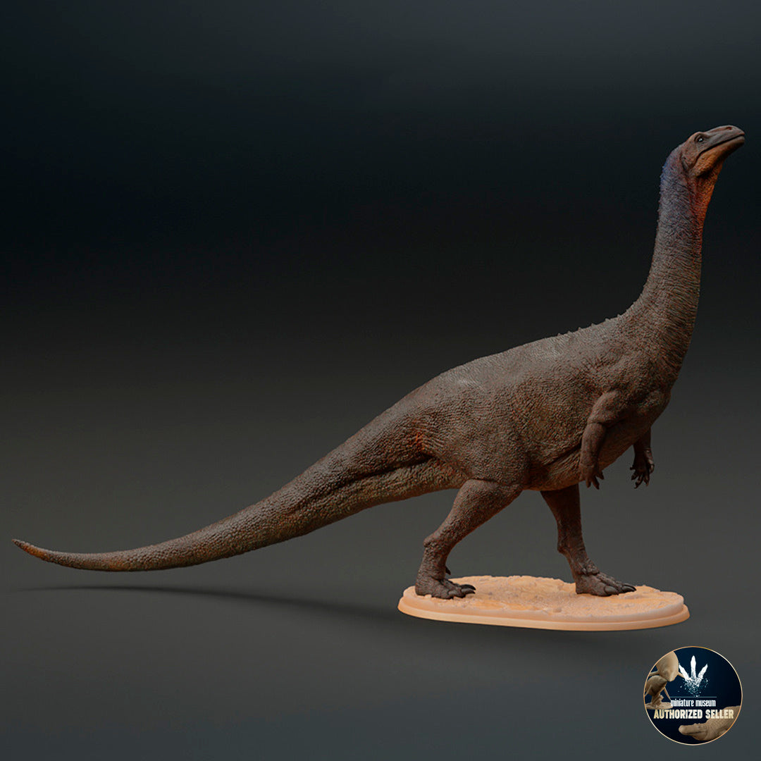 Plateosaurus trossingensis