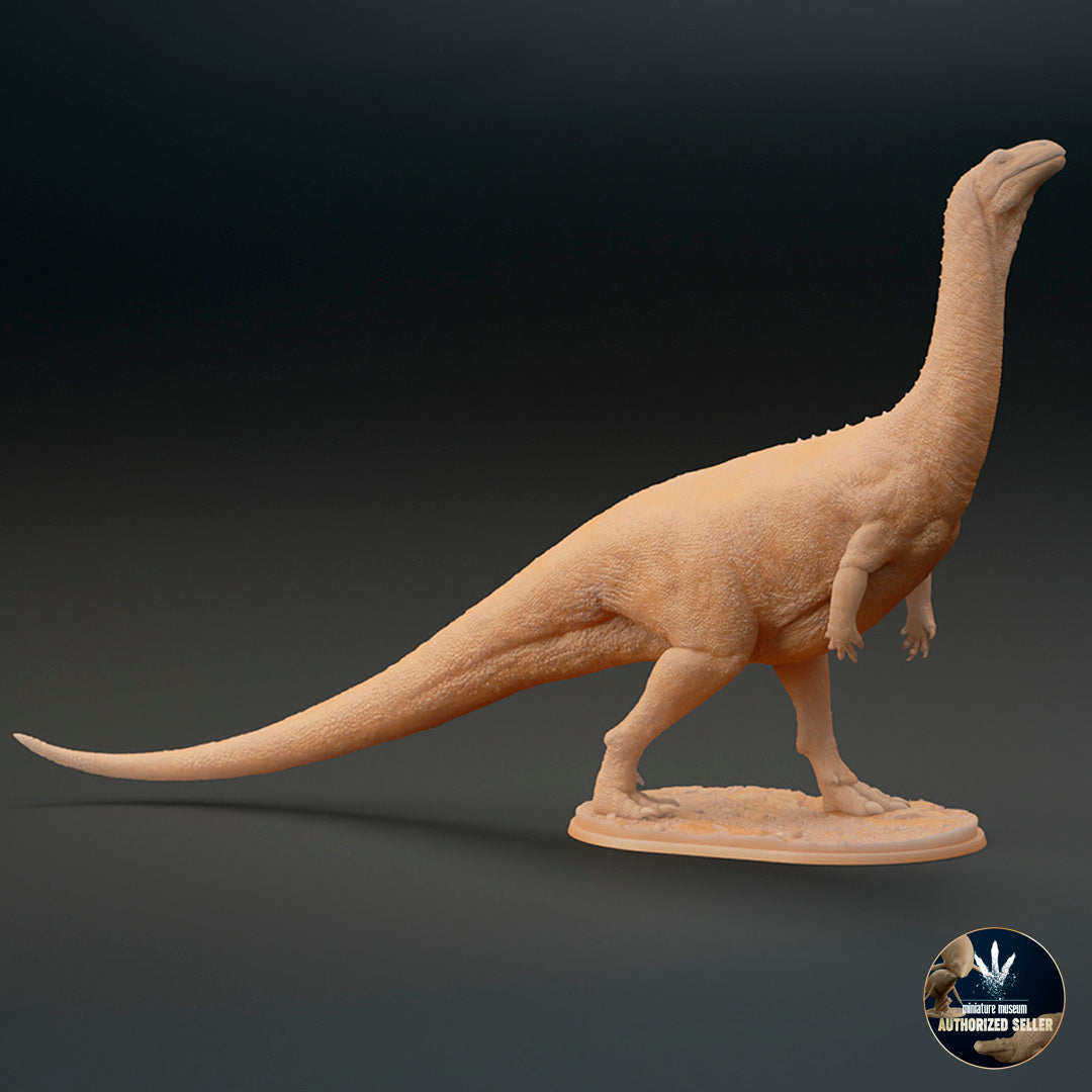 Plateosaurus trossingensis
