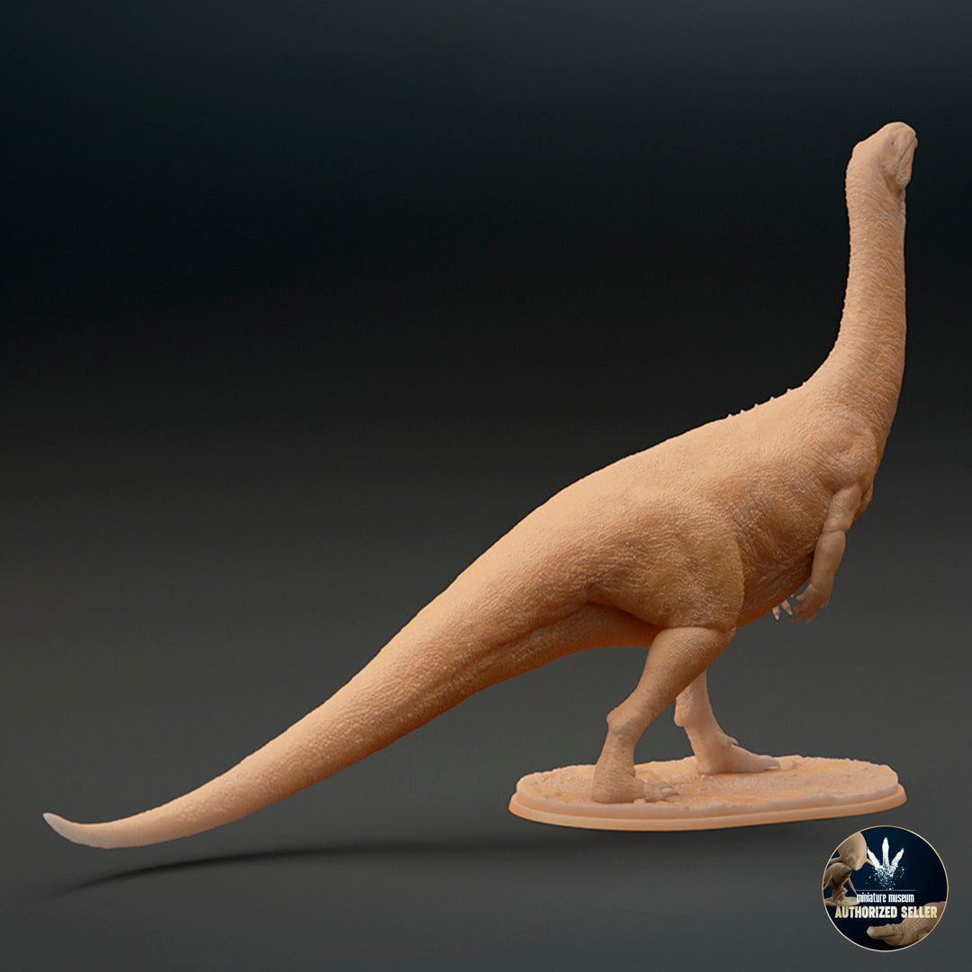 Plateosaurus trossingensis