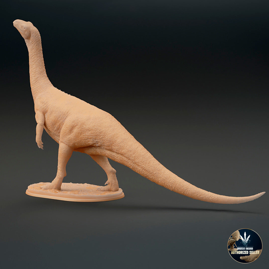 Plateosaurus trossingensis