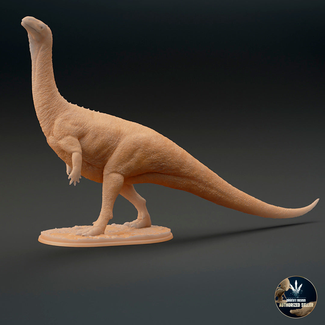 Plateosaurus trossingensis