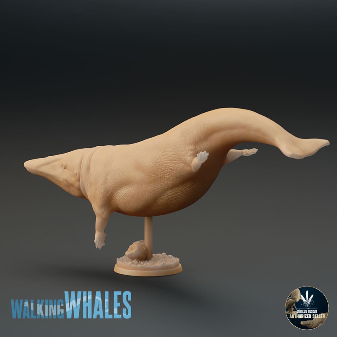 Protocetus atavus