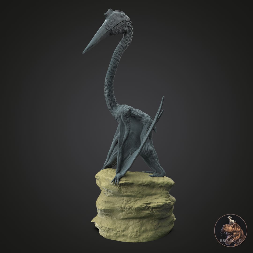 Quetzalcoatlus northropi