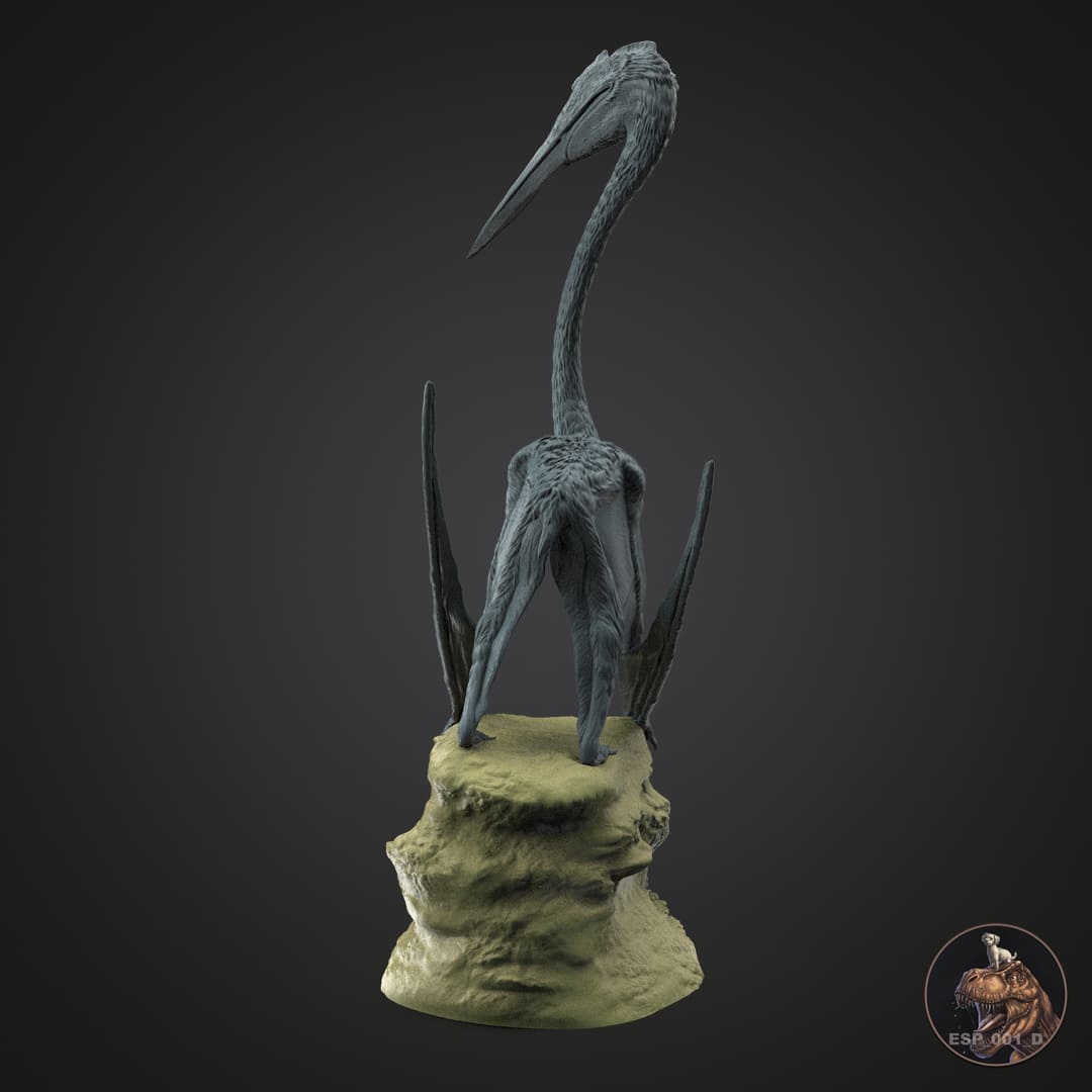 Quetzalcoatlus northropi