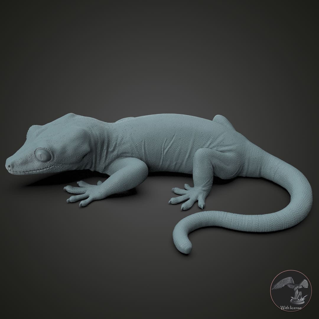 Rhacodactylus auriculatus (Gargoyle Gecko)