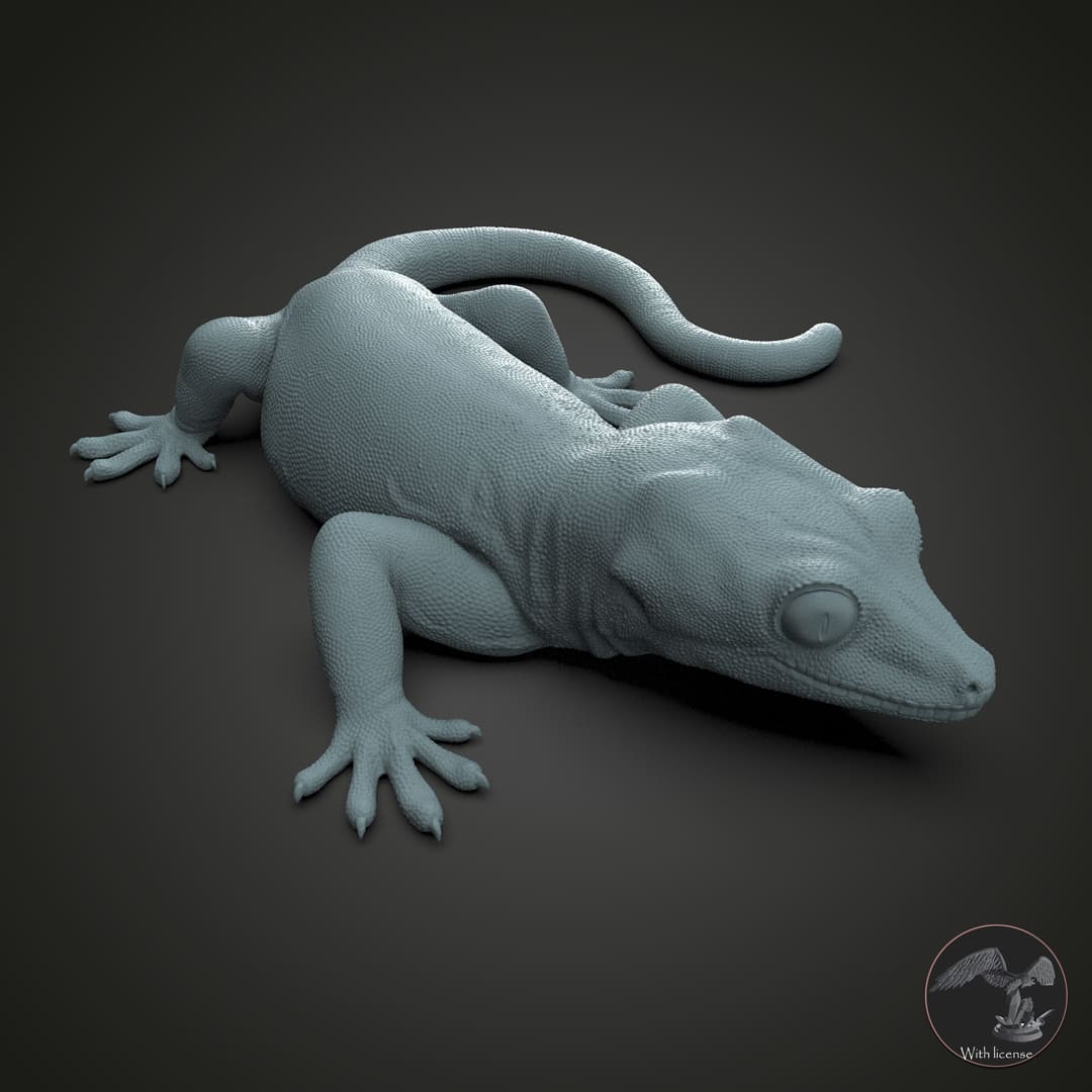 Rhacodactylus auriculatus (Gargoyle Gecko)