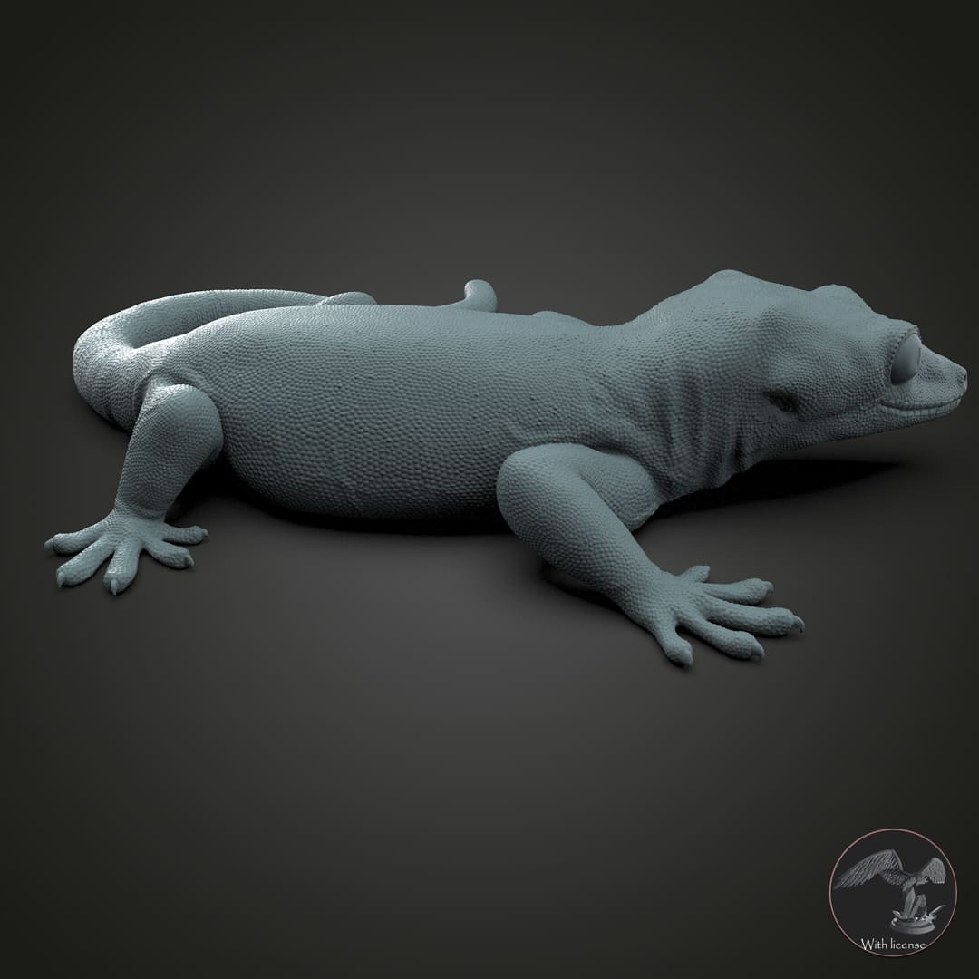 Rhacodactylus auriculatus (Gargoyle Gecko)