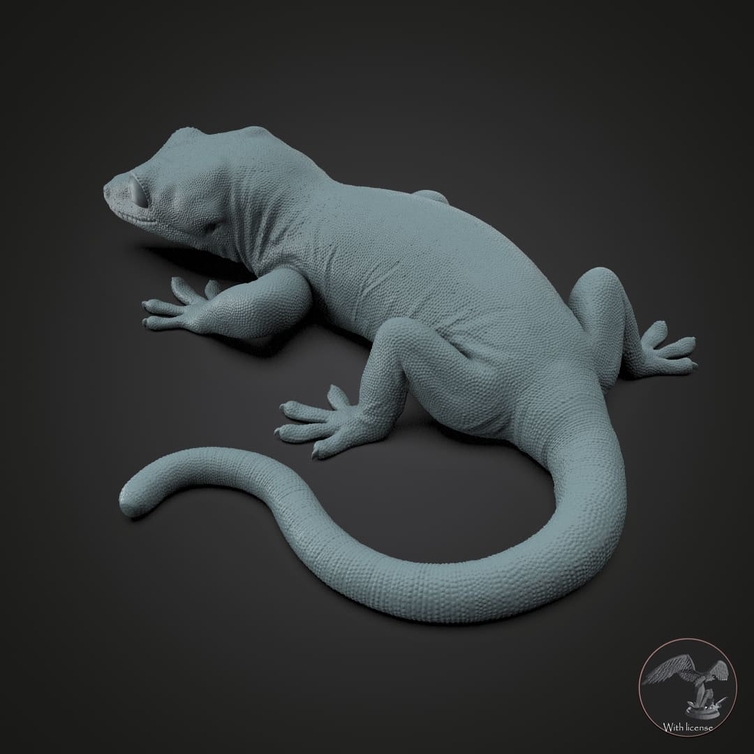 Rhacodactylus auriculatus (Gargoyle Gecko)